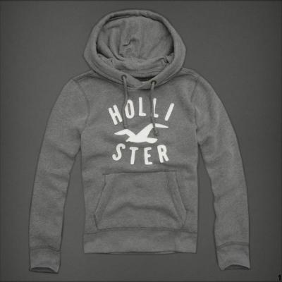 Hollister Men Hoodies-39